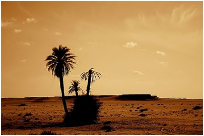 Egypti Saharan autiomaa kuva